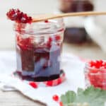 Close up on a jar of red currant with fresh fruits aroudn