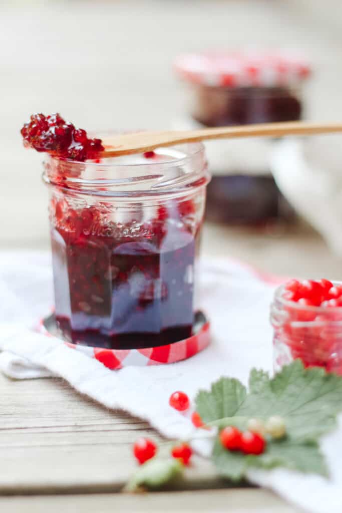 Close up on a jar of red currant with fresh fruits aroudn