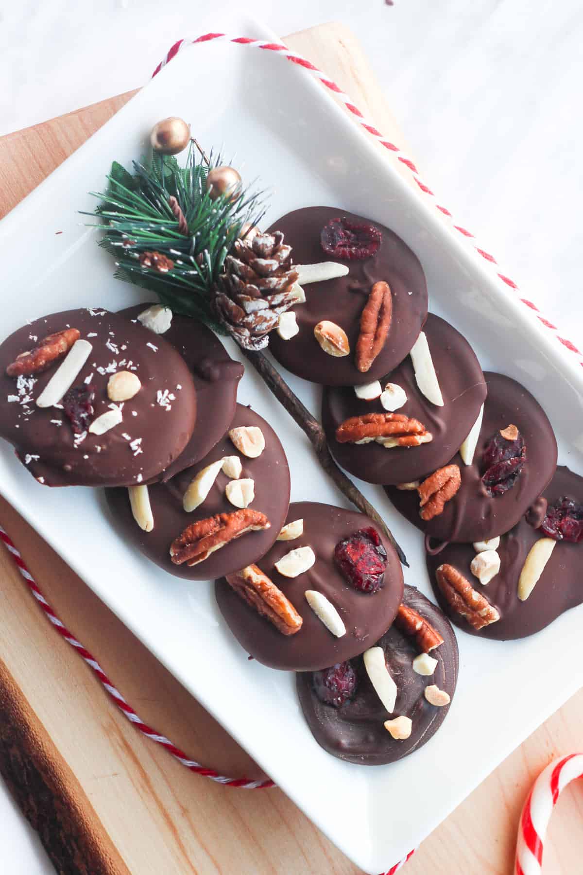 rectangular plate with round chocolate bark with nuts on it and a fake branch of evergreen in the middle. 