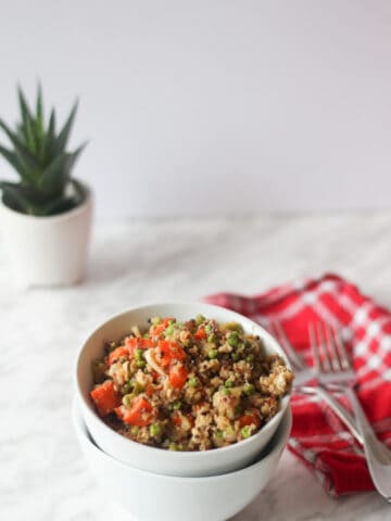 Quinoa fried rice in a white bowl, plant in the background and red serviette